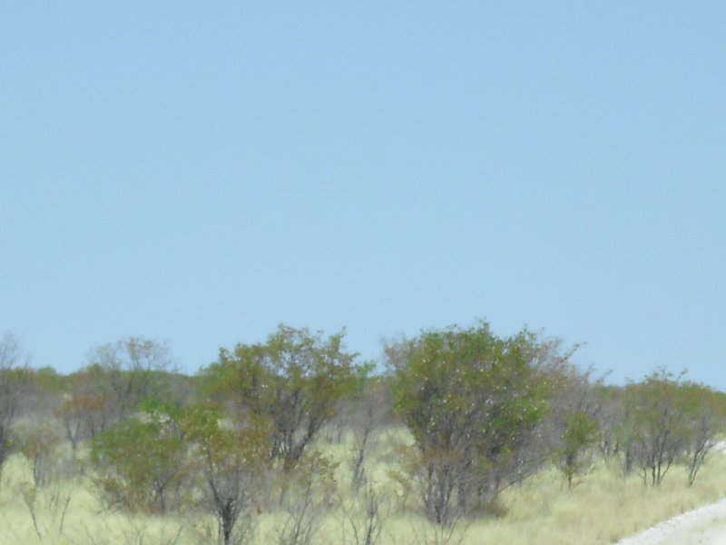 Image CIMG7947.JPG