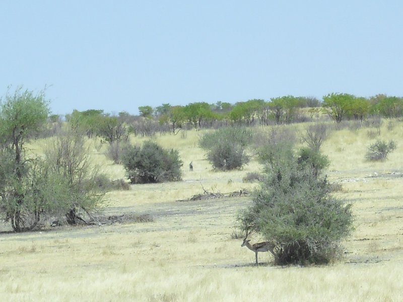 Image CIMG7951.JPG