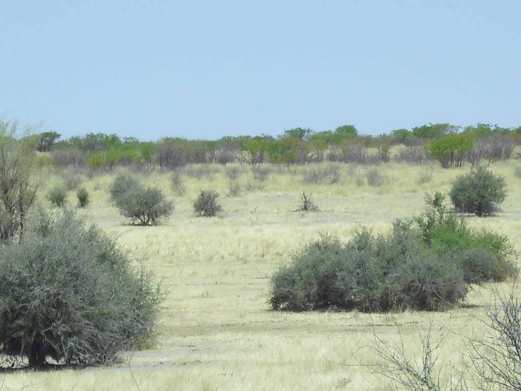 Image CIMG7952.JPG