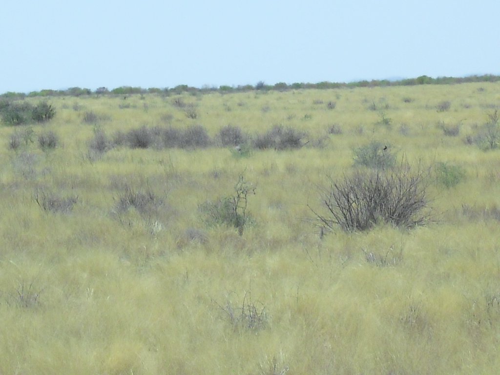 Image CIMG7953.JPG