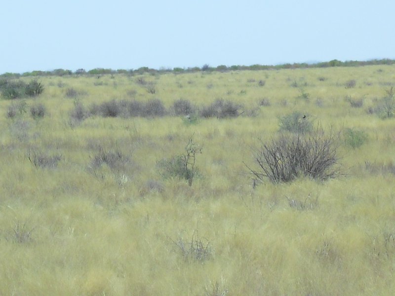 Image CIMG7953.JPG