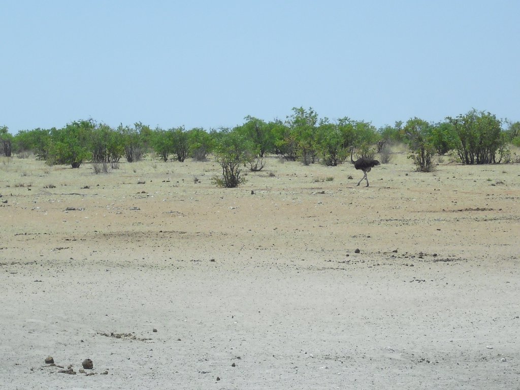 Image CIMG7958.JPG