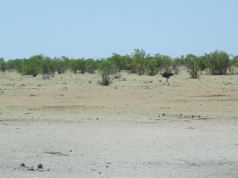 Image CIMG7958.JPG