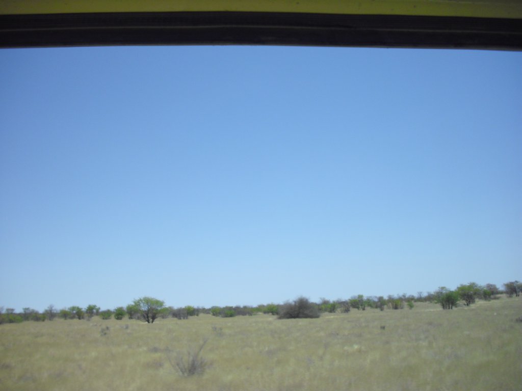 Image CIMG7962.JPG