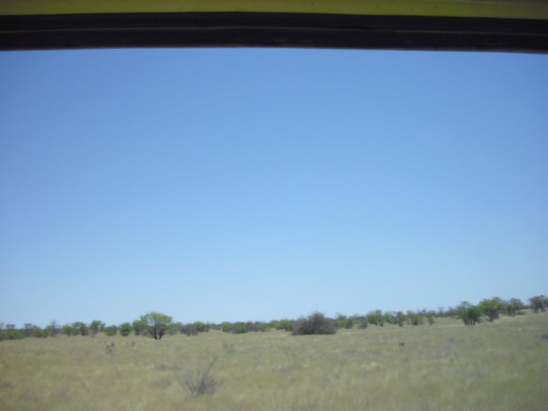 Image CIMG7962.JPG