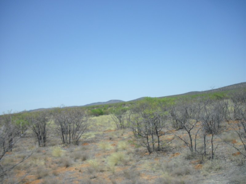 Image CIMG7963.JPG