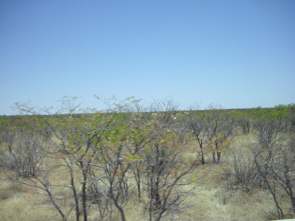 Image CIMG7964.JPG
