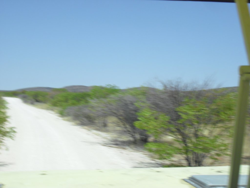Image CIMG7965.JPG