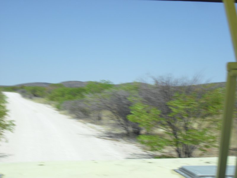 Image CIMG7965.JPG