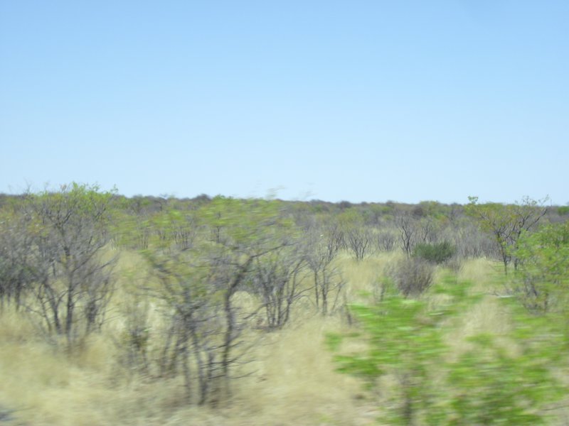 Image CIMG7966.JPG