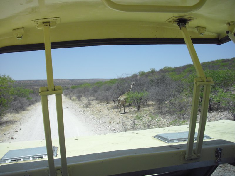 Image CIMG7968.JPG