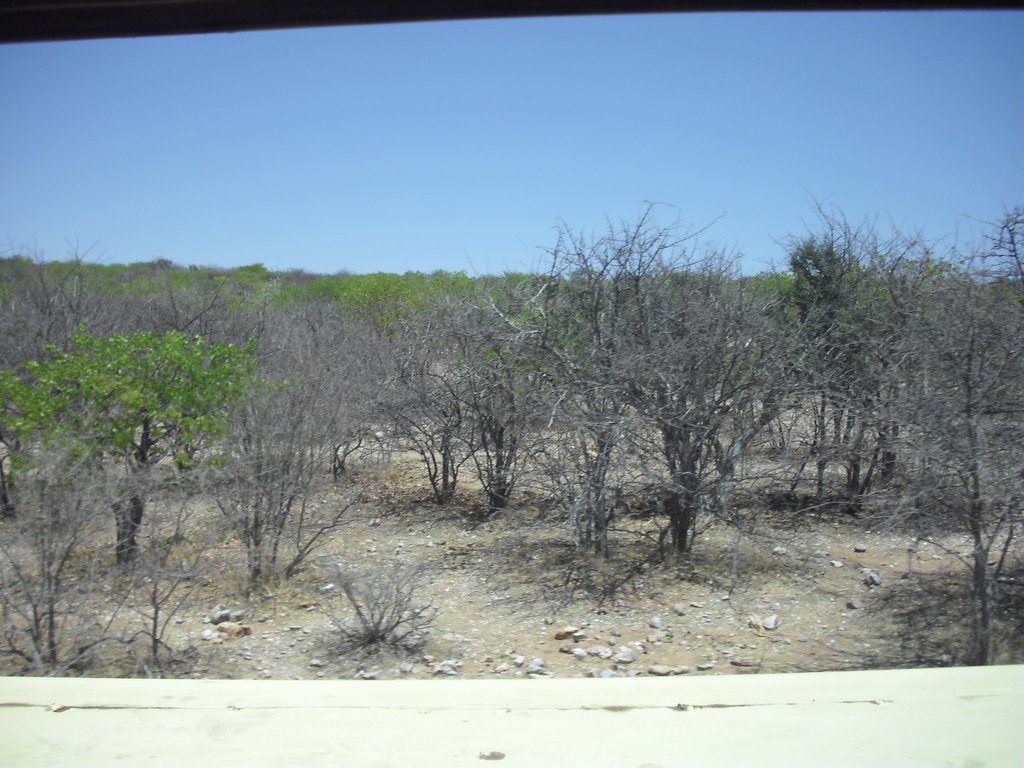 Image CIMG7969.JPG