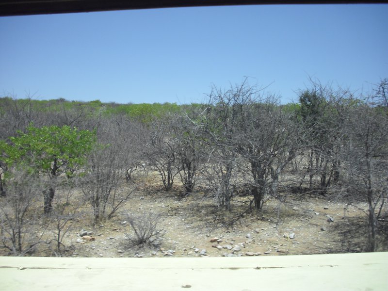 Image CIMG7969.JPG