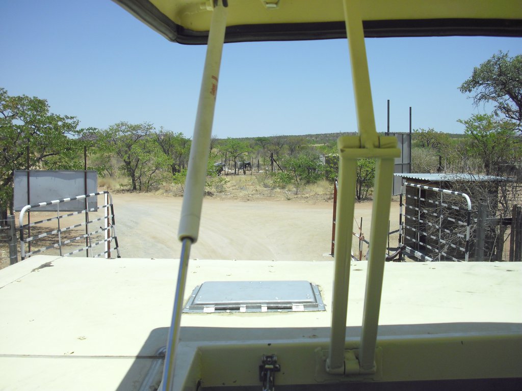 Image CIMG7973.JPG