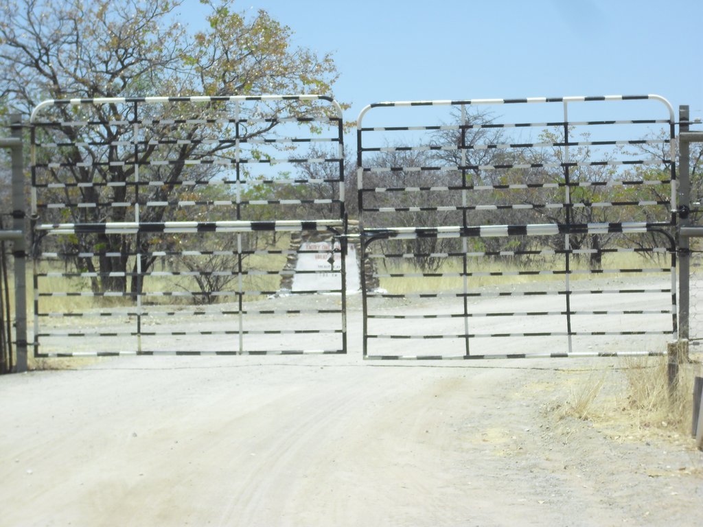 Image CIMG7978.JPG