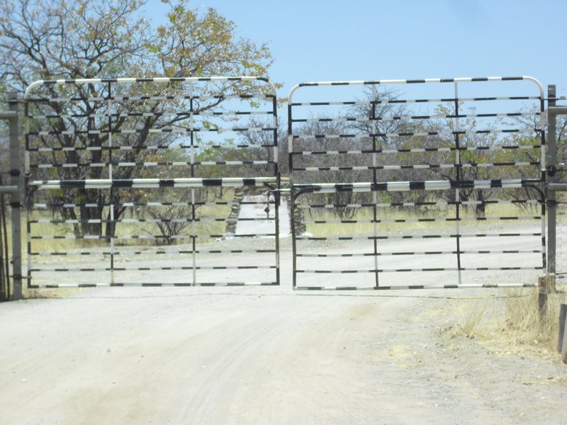 Image CIMG7978.JPG