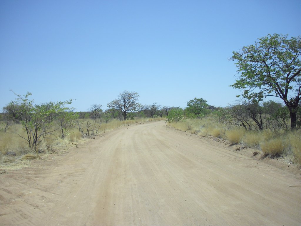 Image CIMG7981.JPG