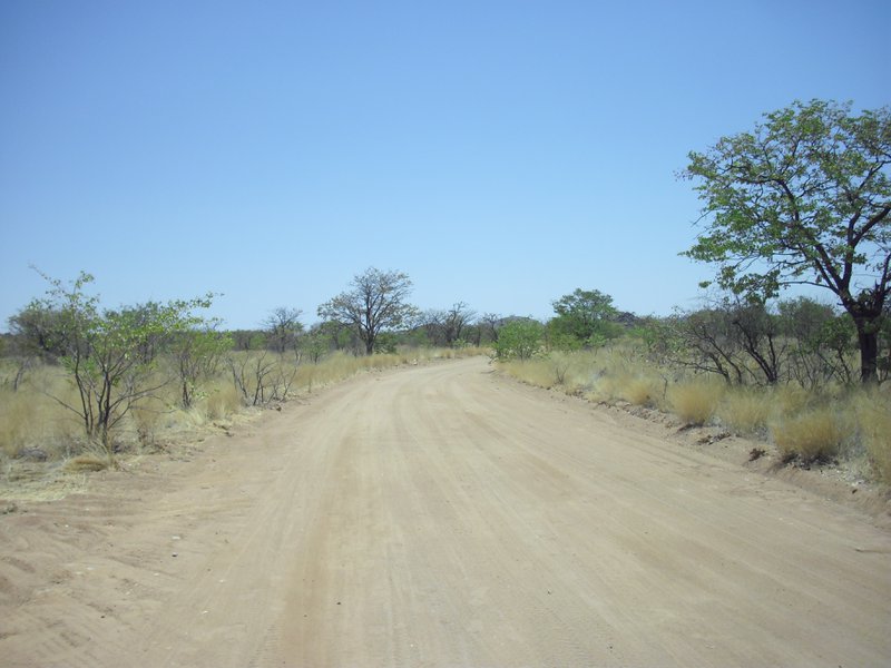 Image CIMG7981.JPG