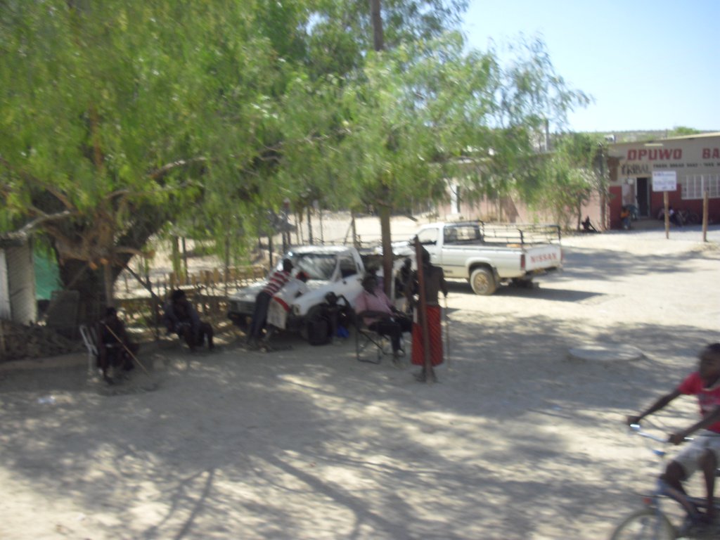 Image CIMG7982.JPG