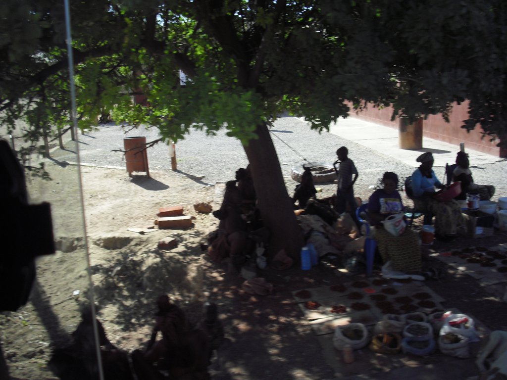 Image CIMG7983.JPG