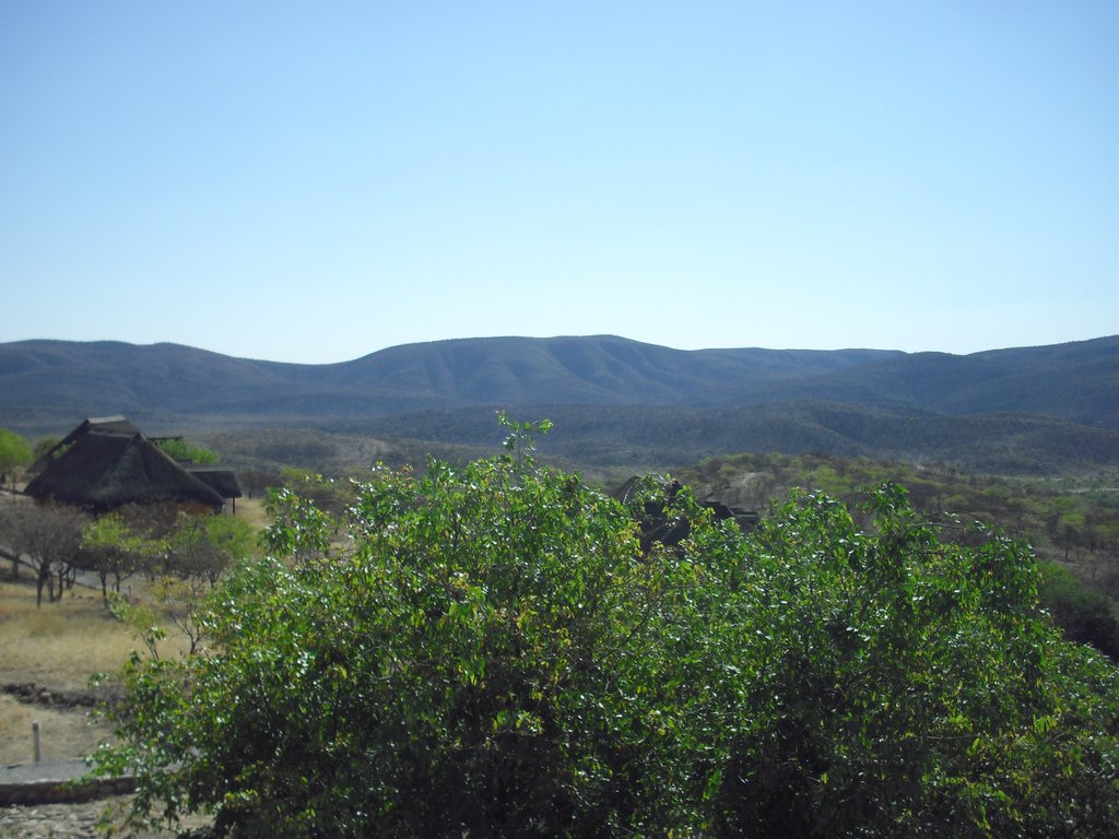 Image CIMG7990.JPG