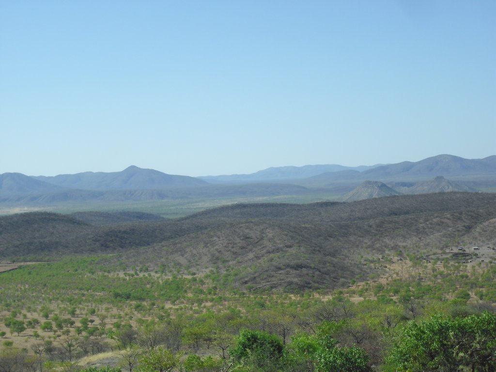 Image CIMG7992.JPG