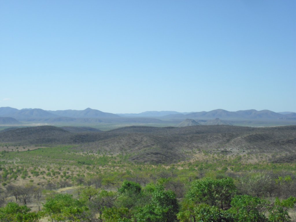 Image CIMG7993.JPG