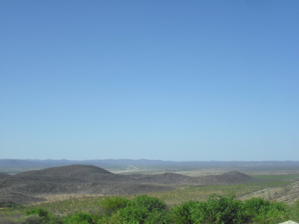 Image CIMG7994.JPG