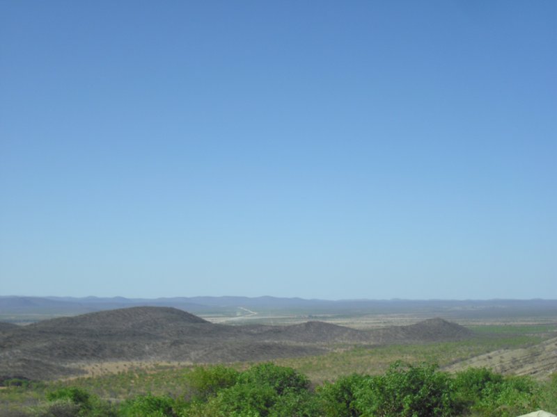 Image CIMG7994.JPG