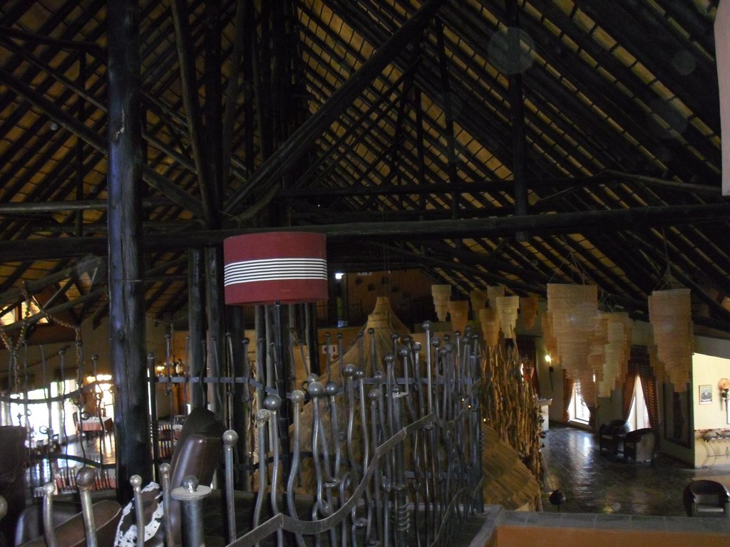 Image CIMG7995.JPG