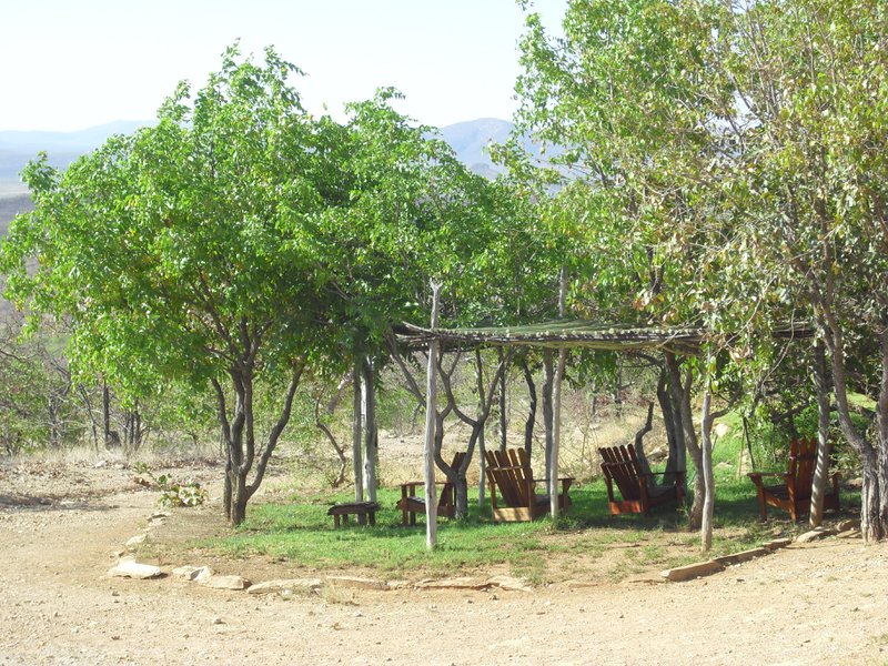 Image CIMG7999.JPG