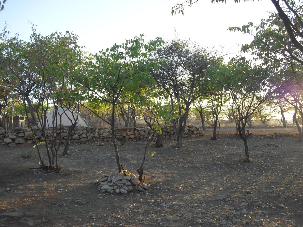 Image CIMG8004.JPG