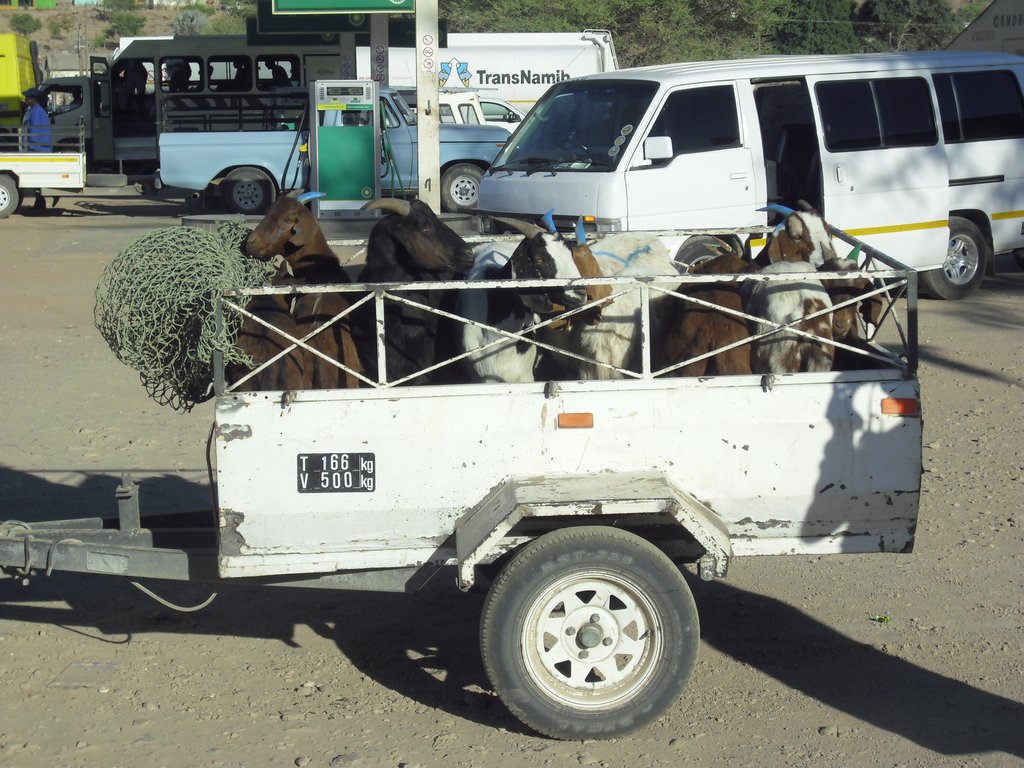Image CIMG8009.JPG