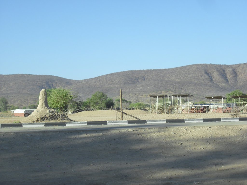 Image CIMG8010.JPG