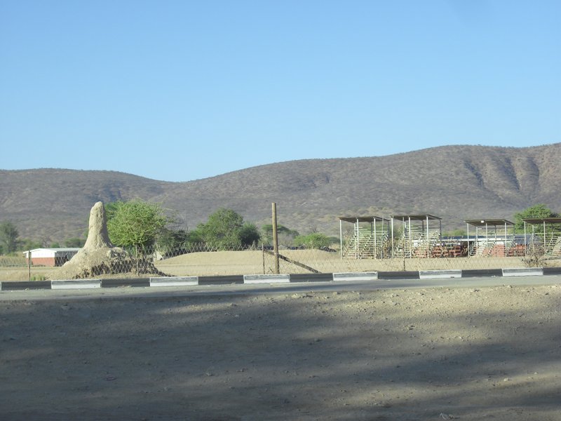 Image CIMG8010.JPG