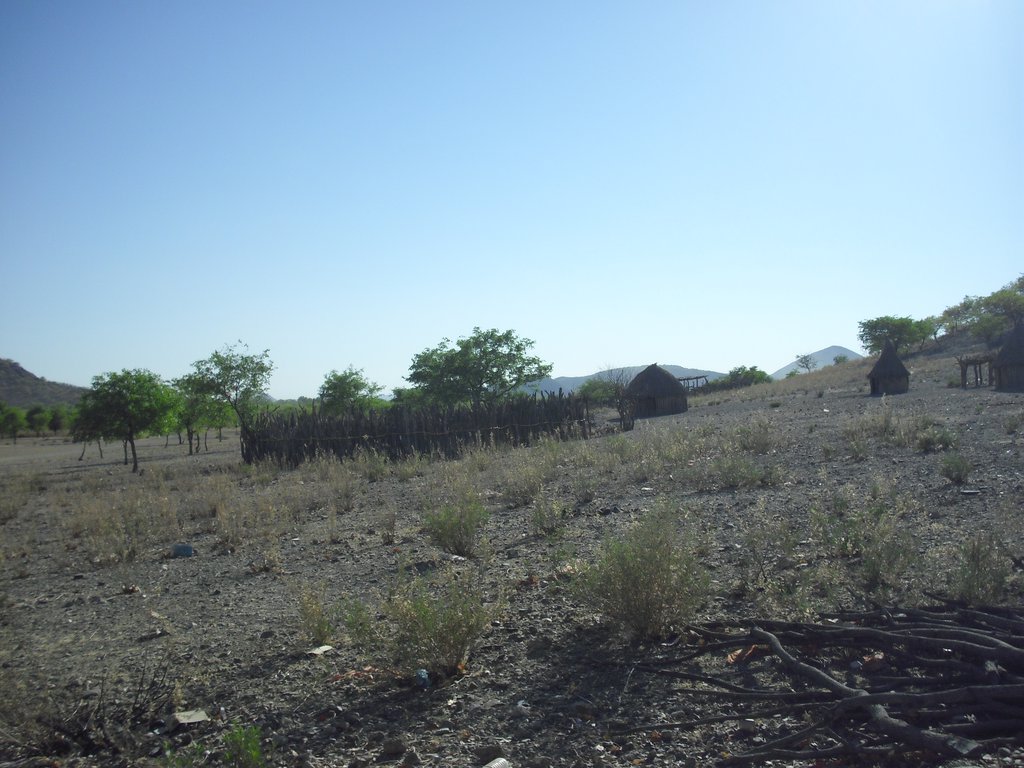Image CIMG8015.JPG