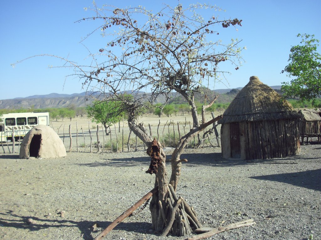 Image CIMG8029.JPG
