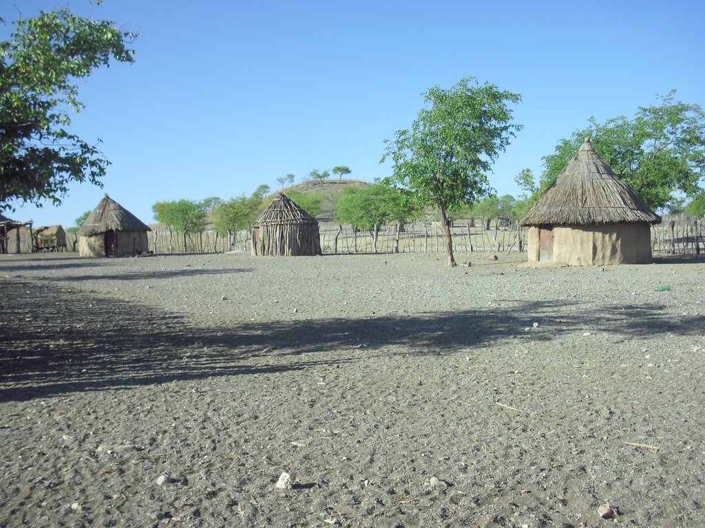 Image CIMG8035.JPG