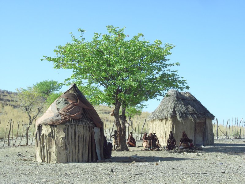 Image CIMG8076.JPG