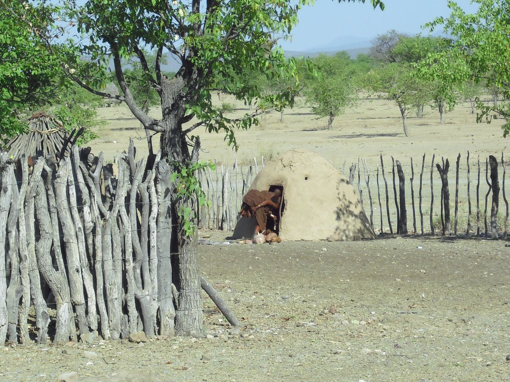 Image CIMG8087.JPG