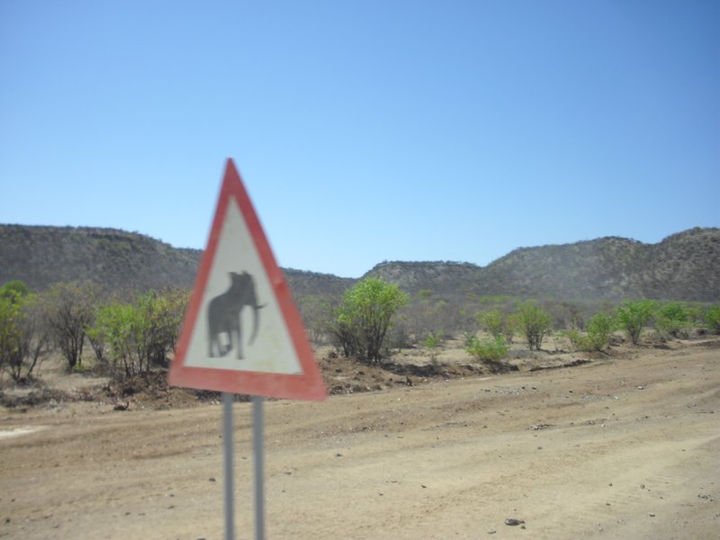 Image CIMG8112.JPG
