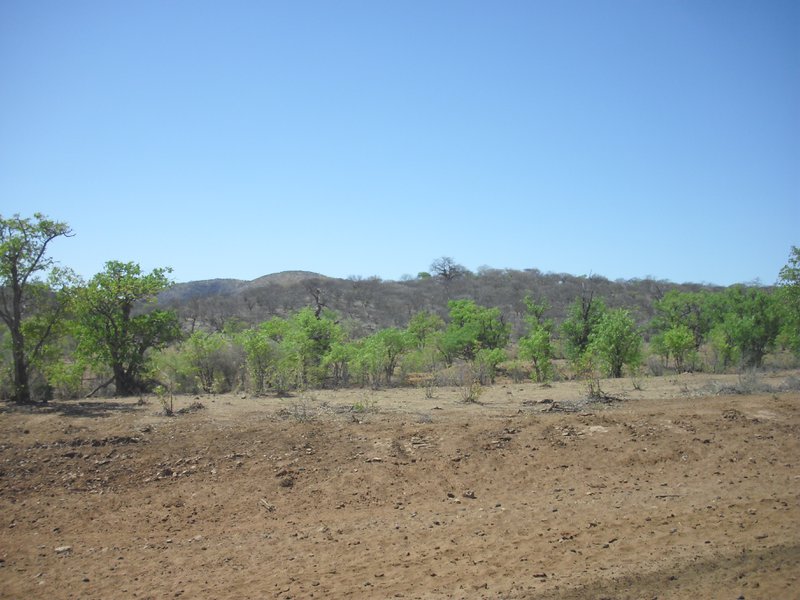 Image CIMG8113.JPG