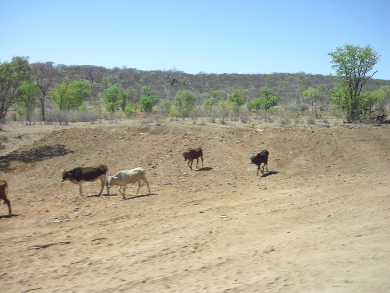 Image CIMG8114.JPG