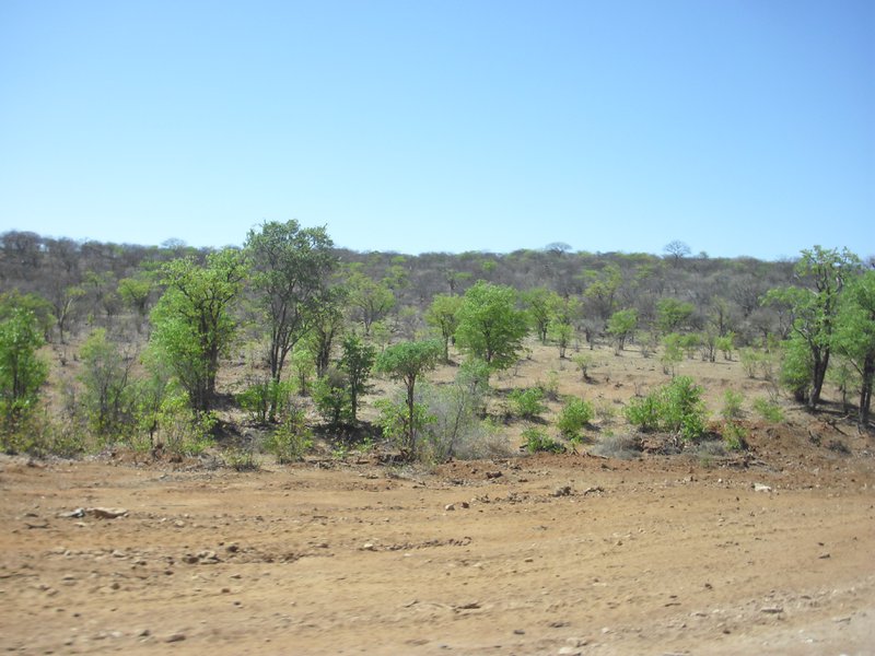 Image CIMG8116.JPG