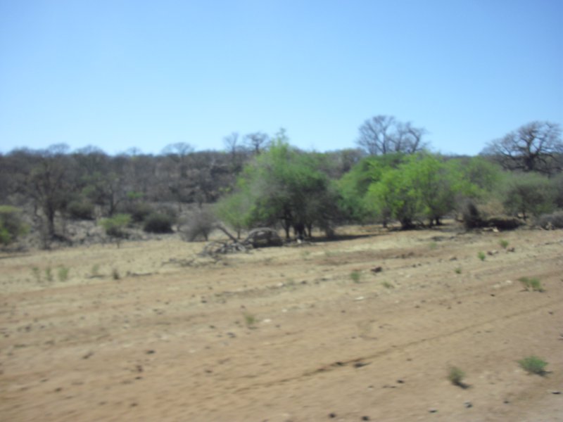 Image CIMG8120.JPG