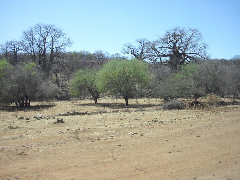 Image CIMG8121.JPG