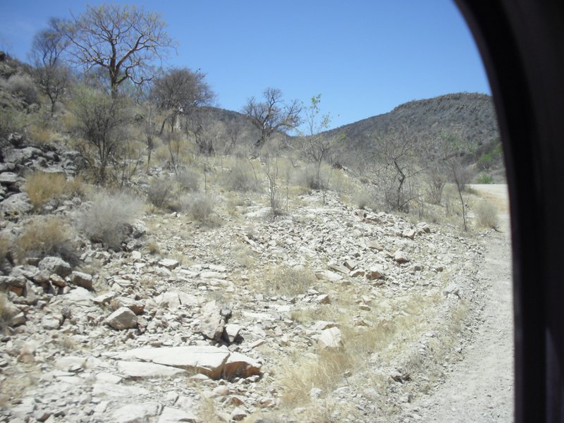 Image CIMG8126.JPG