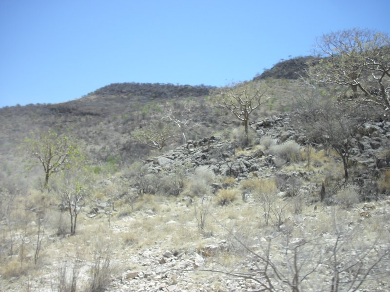 Image CIMG8127.JPG