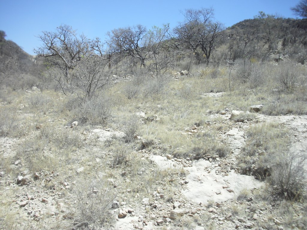 Image CIMG8128.JPG