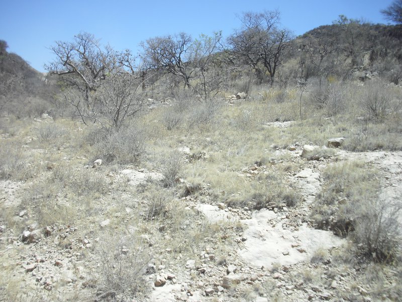 Image CIMG8128.JPG
